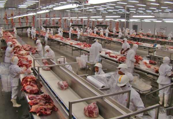 MLA to support beef boning automation R&D project - Euromeatnews.com