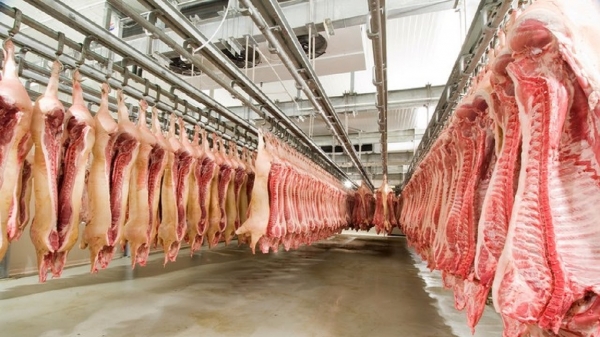 Brazil to build the largest pork plant in Latin America - Euromeatnews.com