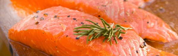 Aquabounty sales first genetically engineered salmon in Canada ...