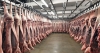 Hungary expects increased prices for pig meat