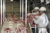 16% increase in China's meat production