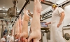 UK pork exports to the USA reach almost £11.6m