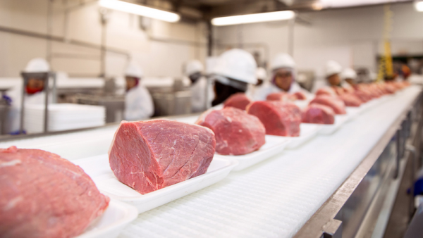 In December China will audit 15 meat processing plants in Brazil ...