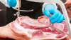 German slaughter pig supply almost exactly at the previous year's level