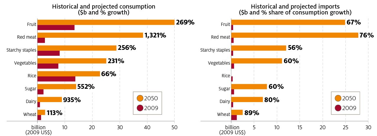 indonesias-food-consumption-5-01